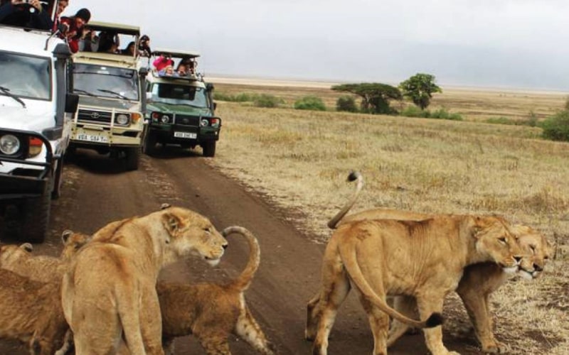 tours-min tours and travel in Kenya and somalia